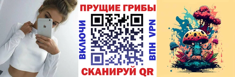 Купить где Борисоглебск Псилоцибиновые грибы мицелий